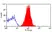 Anti Human CD97 Antibody, clone MEM-180 thumbnail image 2