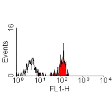 Anti Human CD98 Antibody, clone 44D7 gallery image 1