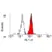 Anti Human CD98 Antibody, clone 44D7 thumbnail image 2