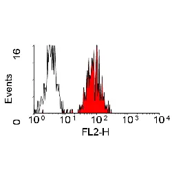 Anti Human CD98 Antibody, clone 44D7 gallery image 3