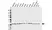 Anti CHP2 Antibody, clone CPTC19 (PrecisionAb Monoclonal Antibody) thumbnail image 1