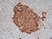 Anti Human Chromogranin A Antibody, clone LK2H10 thumbnail image 4