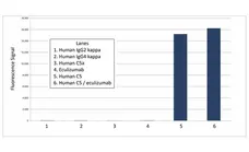 Anti Human Complement C5 Antibody, clone AbD36700 gallery image 1