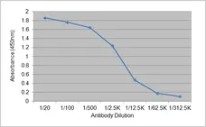 Anti Cortisol Antibody, clone 137.2A7 gallery image 1