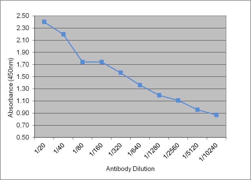 Anti Cortisol Antibody, clone 137.5A12F gallery image 1