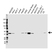Anti Creatine Phosphokinase Antibody, clone E05/10G2 (PrecisionAb Monoclonal Antibody) thumbnail image 1