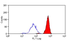 Anti Human Cytochrome B245 Light Chain Antibody, clone CS9 gallery image 2