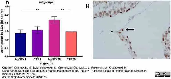 Anti Human Cytochrome P450 Aromatase Antibody, clone H4 gallery image 12