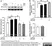 Anti Human Cytochrome P450 Aromatase Antibody, clone H4 thumbnail image 8