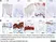 Anti Human Cytokeratin 14 Antibody, clone LL002 thumbnail image 5