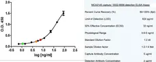 Anti Human Cytokeratin 19 Antibody, clone A53-B/A2 (Monoclonal Antibody Antibody) gallery image 1