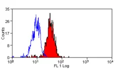 Anti Human Dectin-1 Antibody, clone BD6 gallery image 1