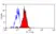 Anti Human Dectin-1 Antibody, clone BD6 thumbnail image 1