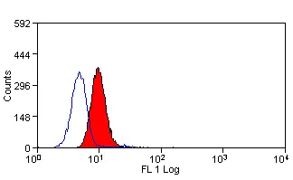 Anti Human Dectin-1 Antibody, clone BD6 gallery image 2