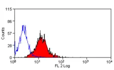 Anti Human Dectin-1 Antibody, clone BD6 gallery image 4