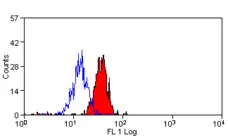 Anti Human Dectin-1 Antibody, clone GE2 gallery image 2
