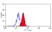 Anti Human Dectin-1 Antibody, clone GE2 thumbnail image 2