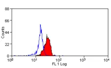 Anti Human Dectin-1 Antibody, clone GE2 gallery image 3