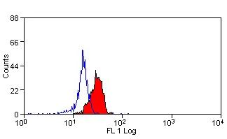 Anti Human Dectin-1 Antibody, clone GE2 gallery image 3