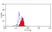 Anti Human Dectin-1 Antibody, clone GE2 thumbnail image 3