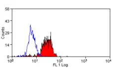 Anti Human Dectin-1 Antibody, clone GE2 gallery image 4