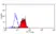 Anti Human Dectin-1 Antibody, clone GE2 thumbnail image 4