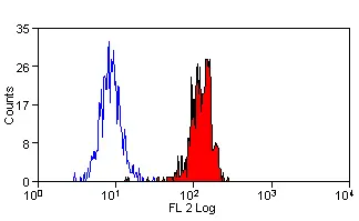 Anti Human Dectin-1 Antibody, clone GE2 gallery image 5