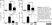 Anti Human Dectin-1 Antibody, clone GE2 thumbnail image 6