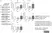 Anti Human Desmoglein 3 Antibody, clone 5G11 thumbnail image 3