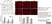 Anti Human Desmoglein 3 Antibody, clone 5G11 thumbnail image 5