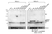 Anti Human DJ-1 (Oxidized at C106) Antibody, clone AbD03055 thumbnail image 1