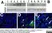 Anti Human DJ-1 (Oxidized at C106) Antibody, clone AbD03055 thumbnail image 3