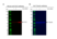 Anti DLD Antibody, clone OTI6D5 (PrecisionAb Monoclonal Antibody) thumbnail image 2