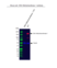 Anti DNA Methyltransferase 1 Antibody, clone 7C11A2 (PrecisionAb Monoclonal Antibody) thumbnail image 2