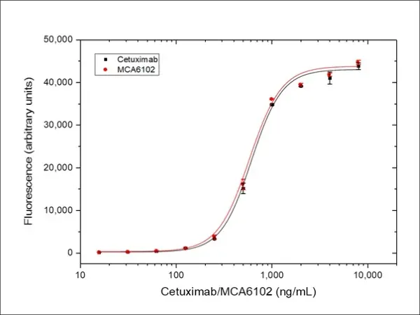 Anti EGF Receptor (Cetuximab Biosimilar) Antibody, clone C225 gallery image 3