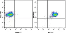 Anti Human EGF Receptor Antibody, clone ICR10 gallery image 2