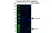 Anti EIF5A Antibody, clone AB01/2G8 (PrecisionAb Monoclonal Antibody) thumbnail image 2