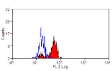 Anti Human EMR1 Antibody, clone A10 gallery image 1