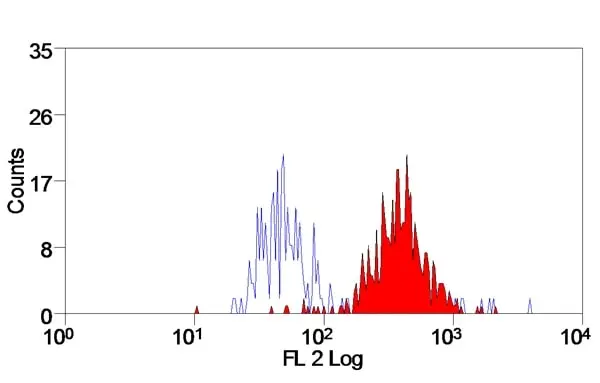 Anti Human EMR1 Antibody, clone A10 gallery image 2