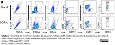 Anti Human EMR1 Antibody, clone A10 gallery image 3