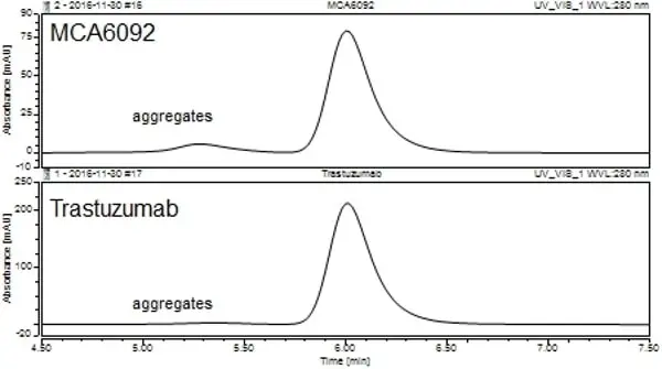 Anti ErbB2 (Trastuzumab Biosimilar) Antibody, clone 4D5-8 gallery image 2