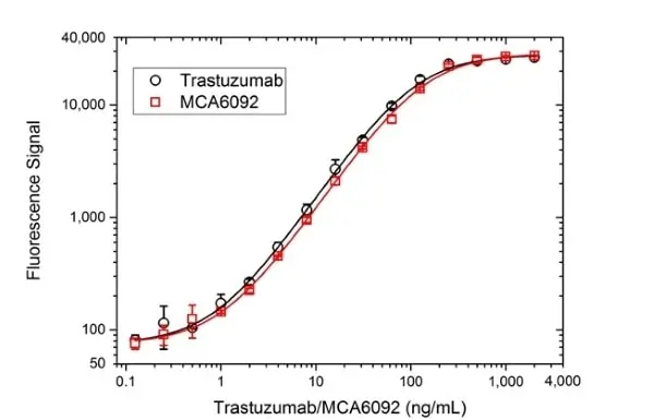 Anti ErbB2 (Trastuzumab Biosimilar) Antibody, clone 4D5-8 gallery image 3
