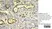 Anti Human Estrogen Receptor Beta 1 Antibody, clone PPG5/10 thumbnail image 11