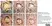 Anti Human Estrogen Receptor Beta 1 Antibody, clone PPG5/10 thumbnail image 15