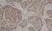 Anti Human Estrogen Receptor Beta 1 Antibody, clone PPG5/10 thumbnail image 2
