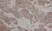 Anti Human Estrogen Receptor Beta 1 Antibody, clone PPG5/10 thumbnail image 3