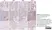 Anti Human Estrogen Receptor Beta 2 Antibody, clone 57/3 thumbnail image 3