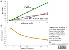 Anti Human Factor VIII Antibody, clone RFF-VIIIC/8 gallery image 2
