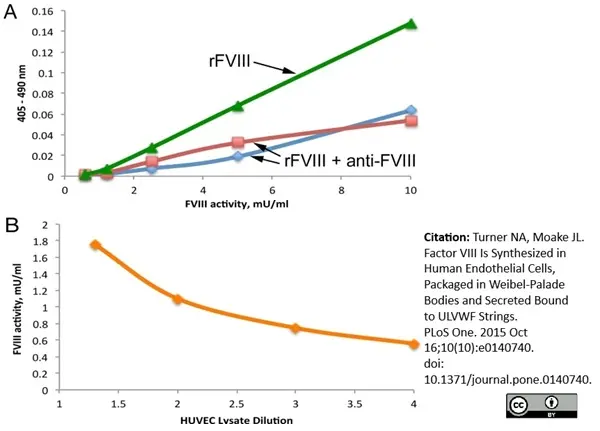 Anti Human Factor VIII Antibody, clone RFF-VIIIC/8 gallery image 2