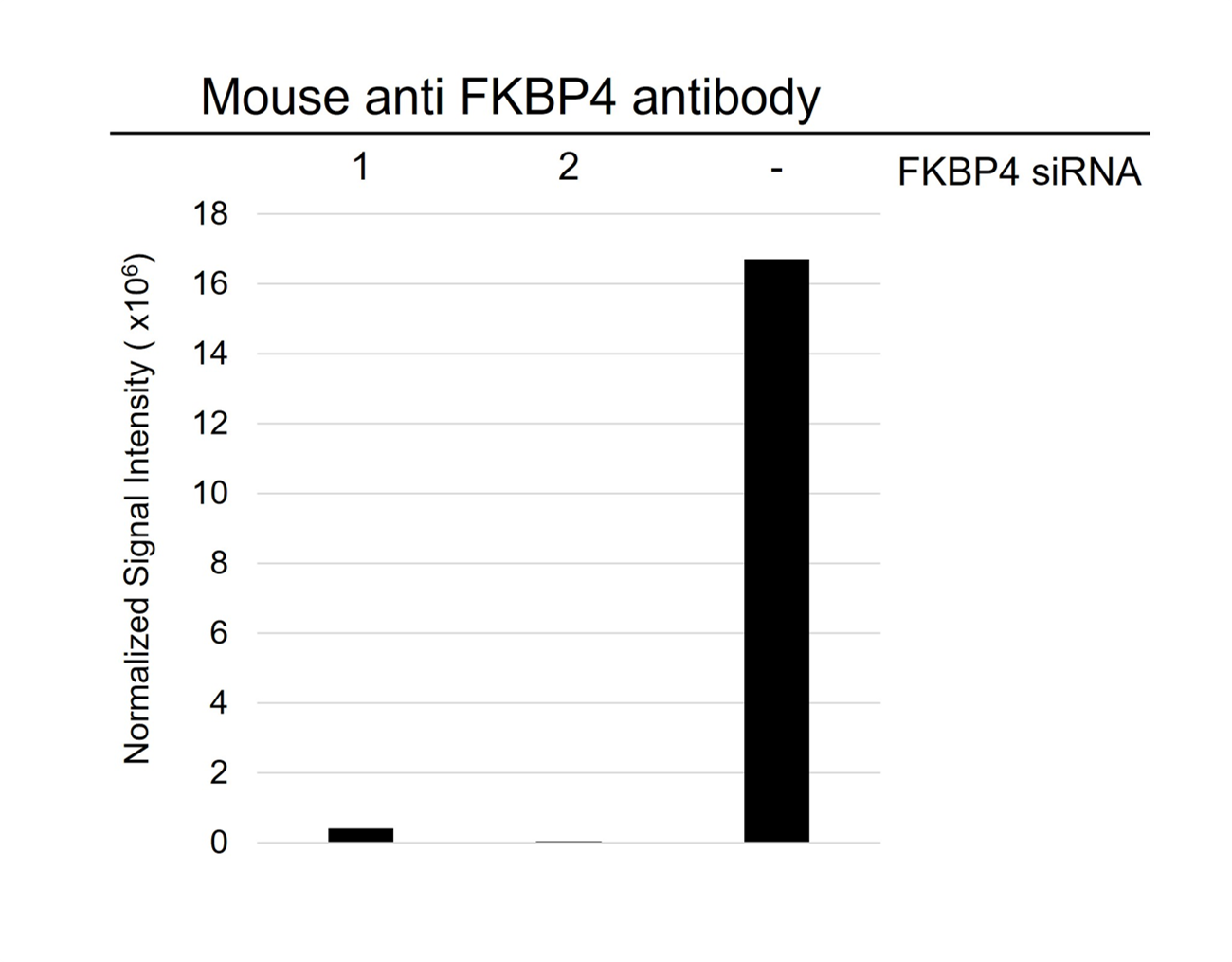 Anti FKBP4 Antibody, clone 4B02/1A9 (PrecisionAb Monoclonal Antibody) gallery image 3